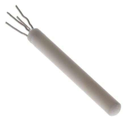 100 Ohm Dual Element Class B, 2.8 x 25mm